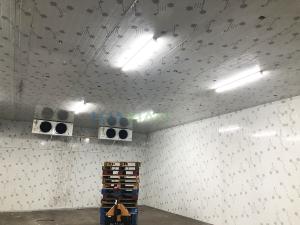 Quality 300 Square Meters Vegetables and Fruits Walk In Cold Room Manufacturer wholesale