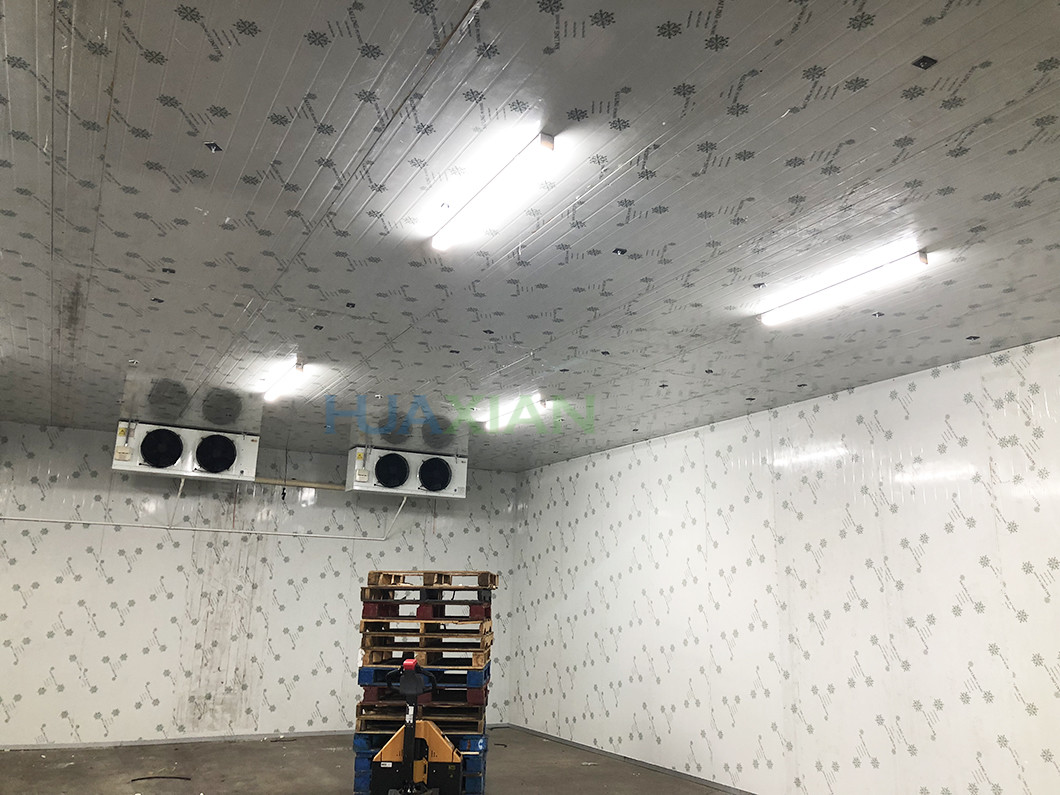 300 Square Meters Vegetables and Fruits Walk In Cold Room Manufacturer