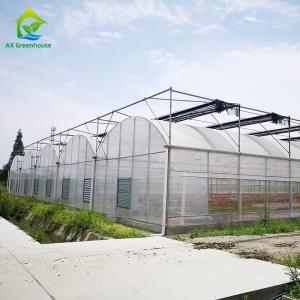 Quality Plastic Film Agricultural High Quality Galvanized Pipe Multi-span Greenhouse wholesale