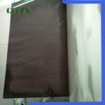 Food Grade Biodegradable Biodegradable Plastic Film 25 - 80 Microns Thickness