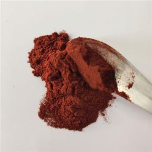 Quality health care product nutrition supplement pine bark extract wholesale