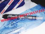 0445120292 Hyundai Kia Sinotruck Bosch Diesel Fuel Injectors