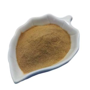 Bacillus Subtilis Ruminants Feed Probiotics 100 Billion CFU/G In Poultry Feed