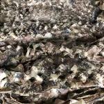 Multispectral Camouflage Netting Tough Oxford Cloth-Tear-Resistant Military