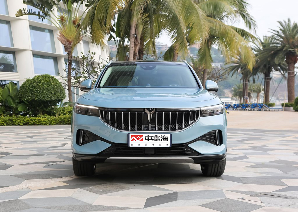 2021 Powerful New Adult Sedan Electric Cars Cheap Lantu FREE 2021 four-wheel drive extended range version