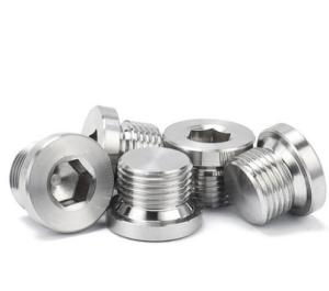 Quality M12 M14 Stainless Steel Ss304 Hex Socket Screw Plug DIN908 wholesale