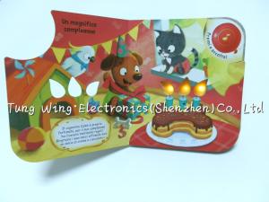 Quality Twinkling Lights Flashing Button Sound Book Module Flashing Book Module wholesale