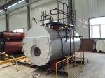 Fire Tube High Efficiency Gas Steam Boiler 0.5T - 20T
