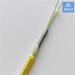 24 Cores SM Spiral Armored Fiber Cable Yellow LSZH Micro Armored Cable Rodent
