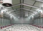 Galvanized Prefabricated Steel Structure Poultry House Chicken House Coop