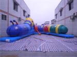 Fun Caterpillar Inflatable Tunnel (CYOB-08)