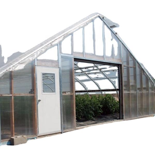 Single Span Greenhouse Mushroom Growing Equipment Covered with Transparent