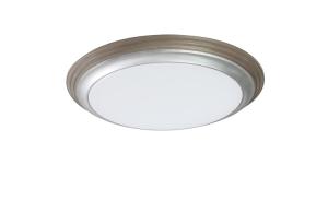 Quality LED CEILING LIGHTS FOR HOME LIGHTING wholesale