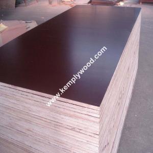 Quality 4x8feet top quality brown film faced plywood, 18mm shuttering plywood, marine plywood wholesale
