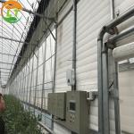 Pressure-Resistant Glass House for Large-Scale Growth of Vegetable Fruits and