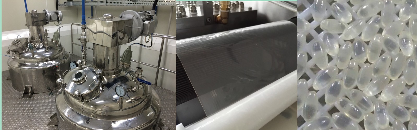 Vegetable gelatin softgel capsulation machine S610V 250 machine factory supplier