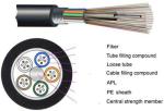 Outdoor armoured Singlemode Fiber Optic Cable 12 core optical fiber cable for