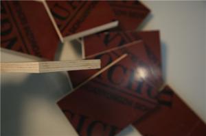 Quality Waterproof Architectural Grade Plywood , 25mm Hardwood Plywood E1 Standards wholesale
