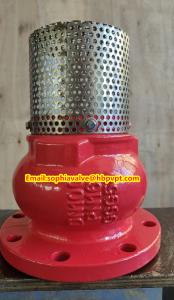 Quality PN10 or PN16 cast iron flanged foot valve Supplier wholesale