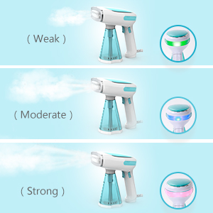 250-270ml Water Capacity Portable Foldable Fabric Vertical Steamer with Steam Iron Brushes