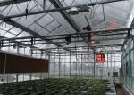 Plastic / Poly Agricultural Greenhouse , Vegetable Tunnel Multi Span Greenhouse