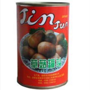 Quality Fresh Natural Raw Material Canned Fruits Vegetables 425g Farm Mushroom wholesale
