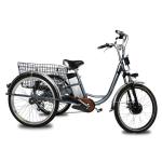 Adult 3 Wheel Electric Tricycle 48V 250W Motor Three Wheel Electric Cargo Bike