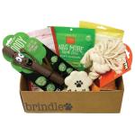 Yummy Treats Personalized Dog Toy Box Festive Holiday Themed