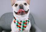 Slip On Christmas Dog Bandana Collar Dog Neck Handkerchief Sublimation