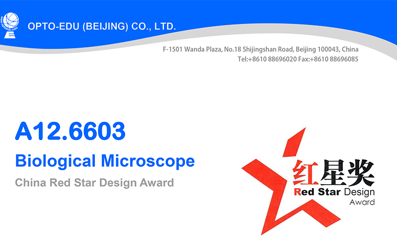 Student 1000X Compound Optical Microscope Laboratory Capillary Microscope