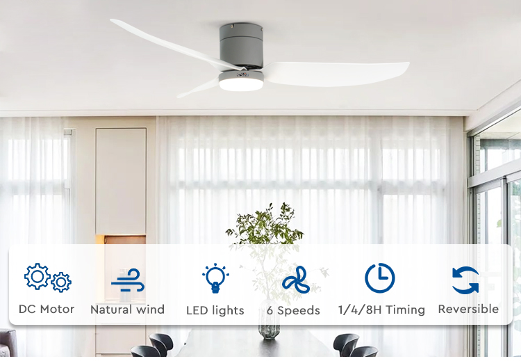 ceiling fan