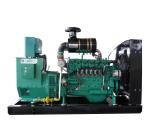 LPG Generator Natural Gas Generator Price