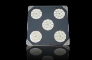 Quality 75W LED Canopy Light wholesale