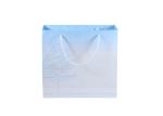 Exquisite Custom Printed Carrier Bags , Logo Paper Gift Bags With Handles