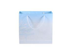 Quality Exquisite Custom Printed Carrier Bags , Logo Paper Gift Bags With Handles wholesale
