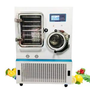 Quality IVD Reagents Lyophilizers Medical Biosample Laboratory Freeze Dryer Pilot In Situ wholesale