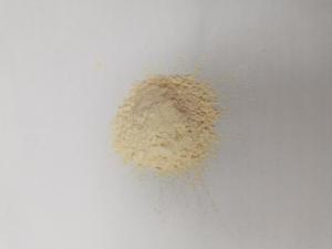 Quality HALAL Creamy To Light Yellow Dehydrated Garlic Powder 80mesh wholesale