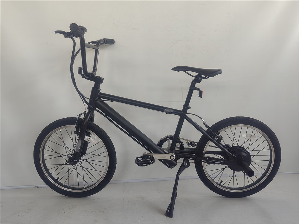 KT Controller 2024 250W 24V 10.4 A PAS Single Speed Electric Bike with Hidden Battery