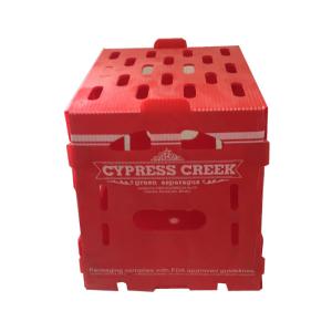 Quality Coroplast Pomegranate Packaging Box Mango Packing Boxes For Export wholesale