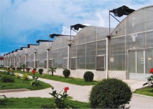 Quality Eco Friendly Plastic Garden Greenhouse Galvanized Steel Tube Frame Structure wholesale