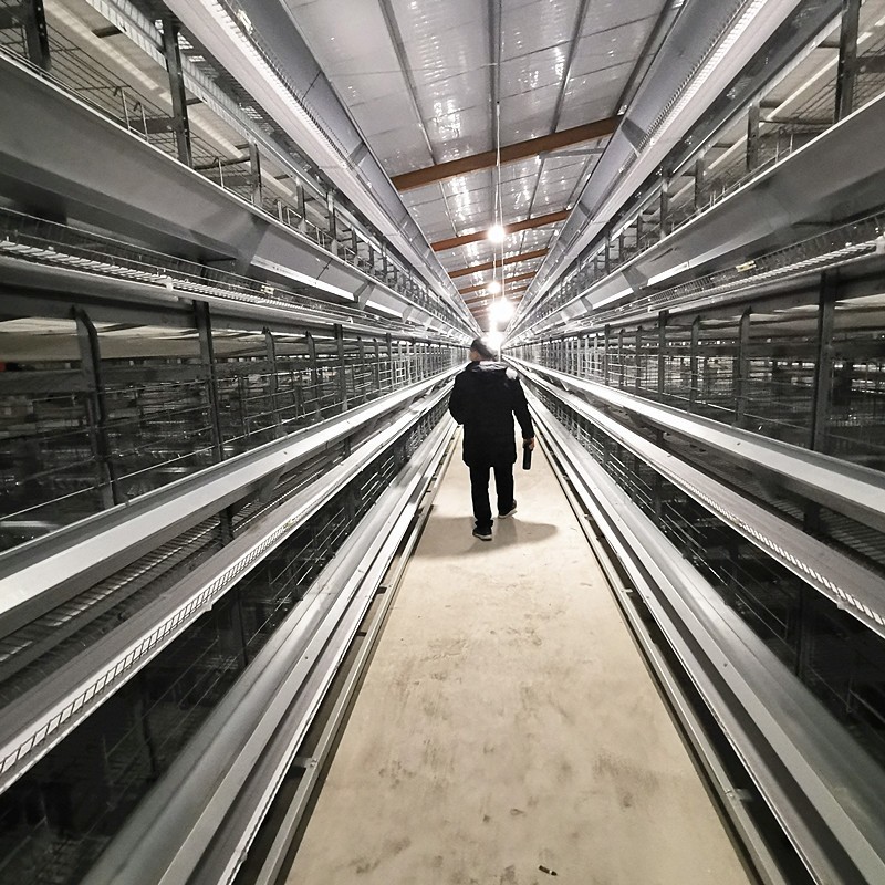 Durable and Sturdy High-Density Hot Galvanized Egg Layer Chicken Cage for Your Poultry Farm
