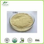 High Quality Fresh organic mango fruit powder