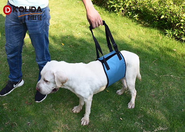 Red / Green Dog Body Harness Lift Help Sling Disabled Pet Support Vest