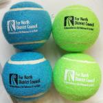 dog tennis ball