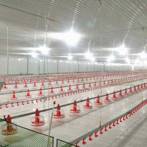 Quality 45mm Diameter Broiler Equipment wholesale