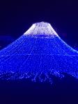 Holiday Lighting, PVC,Rubber Wire,Single Color, Multi-Color Decorative Lighting,