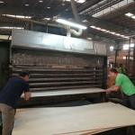 High-End Recon Wood Veneer Natural Walnut Wt-X873n 2850mm Length For Door