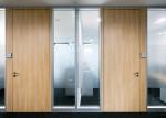 Acoustic Sound Glazed Patition Wall Solid Steel Material Door Wood Color
