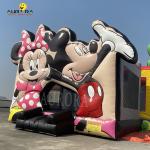 Cartoon Character Inflatable Adults Bouncy Castle Kids PVC Bouncy Castle