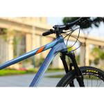 29 Inch Aluminum Full Suspension Mountain Bike with SMN MT200 Hydraulic Disc